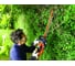 Аккумуляторный кусторез Black+Decker GTC36552PC 3