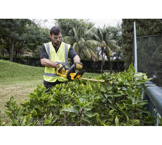 Аккумуляторный кусторез DeWALT XR DCM563P1