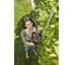 Аккумуляторные ножницы для живой изгороди Gardena ComfortCut Li-18/50 09837-20.000.00 5