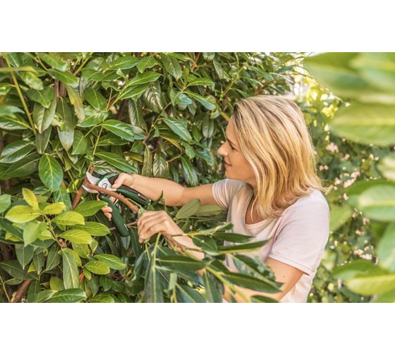Аккумуляторный секатор Bosch EasyPrune 0.600.8B2.000