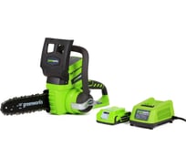 Аккумуляторная цепная пила Greenworks G24CS25K2 24V 2000007va