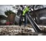 Аккумуляторный воздуходув-пылесос GreenWorks GD40BVK3 40V 24227UE 19