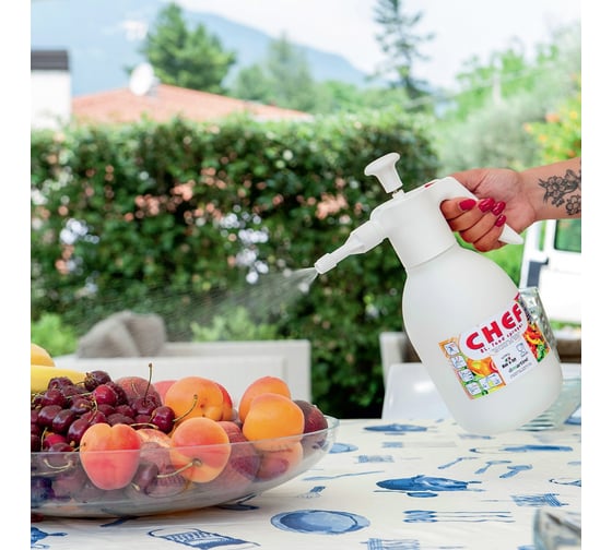 Ручной помповый пульверизатор Di Martino CHEF 2л 4012