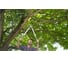 Сучкорез GARDENA TeleCut 650-900 B 12009-30.000.00 3