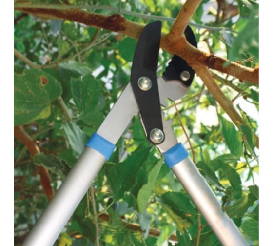 Сучкорез с зубчатым механизмом GREEN APPLE GTGL6067 Б0003065