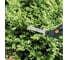 Ножницы для травы Fiskars GS50 (111090) 1000557 8
