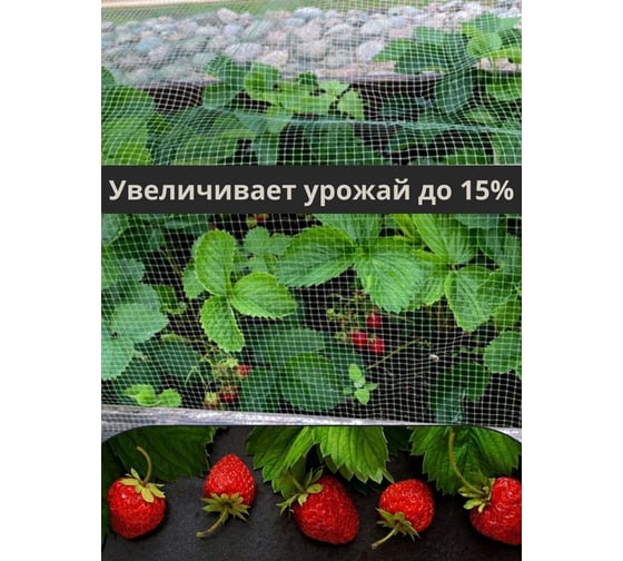 Сетка для защиты от птиц Удачников 2х5 м 20869