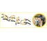 Тачка одноколесная Haemmerlin EXPERT 120 RENO UP 120 л оцинкованный кузов, пневмо колесо-подшипник 305257001 2