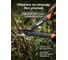 Сучкорез контактный STARTUL 42см GARDEN () ST6495-01 ЦЕ-0004924230 3