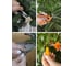 Набор из 2-х садовых ножниц универсальный GARDEN SHOW ПТ000003458 266434 12