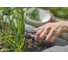 Ножницы для срезания зелени Gardena GripCut 12213-20.000.00 3