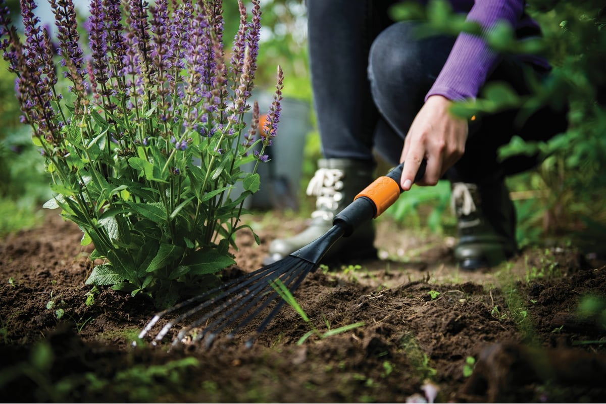 Насадка-грабли для цветов Fiskars QuikFit 1001412 - выгодная цена ...