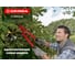 Плоскостной сучкорез GRINDA R-390 390 мм 8-424108 5
