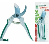 Секатор Грин Бэлт Профи 06-178