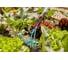 Культиватор-грабли, насадка для комбисистемы Gardena 03165-20.000.00 3