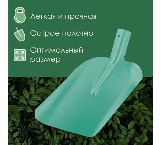 Лопата совковая Грядково ЛСП, без черенка 500000