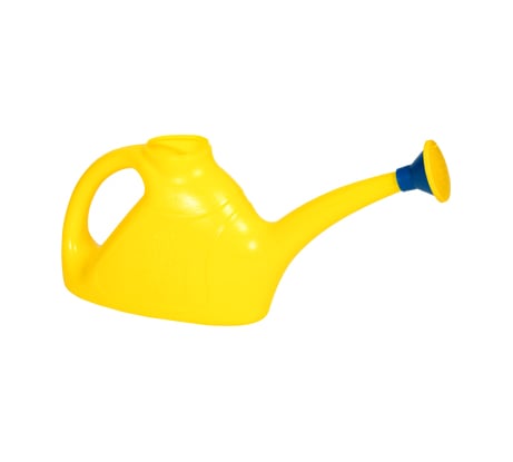 Лейка с рассеивателем для распыленного полива Радиан 2 л 4607168313421