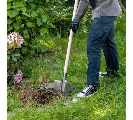 Штыковая лопата СИБРТЕХ нержавеющая сталь, 200х265 мм, ребра жесткости, без черенка 614375