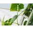 Кистедержатель Greengo J-hook 50 шт. 1382854 2