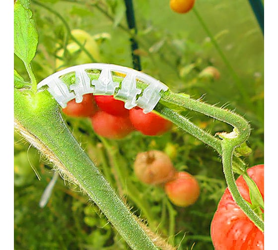 Кистедержатель Greengo Улитка 50 шт. 3344128