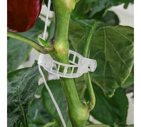Садовая клипса Greengo d=15 мм, 50 шт. 1382855