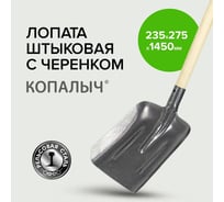 Лопата совковая рельсовая Pobedit сталь КОПАЛЫЧ с черенком 8025145