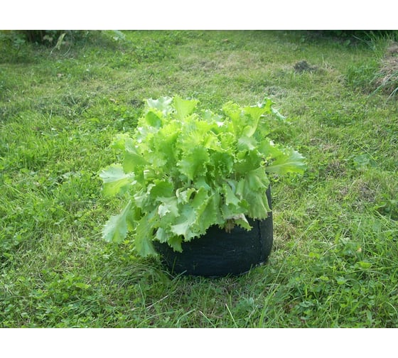Садовый контейнер BAGPOT 10 л 153289