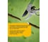 Садовый секатор Green Boom с храповым механизмом, срез 25 мм YH-658979 6