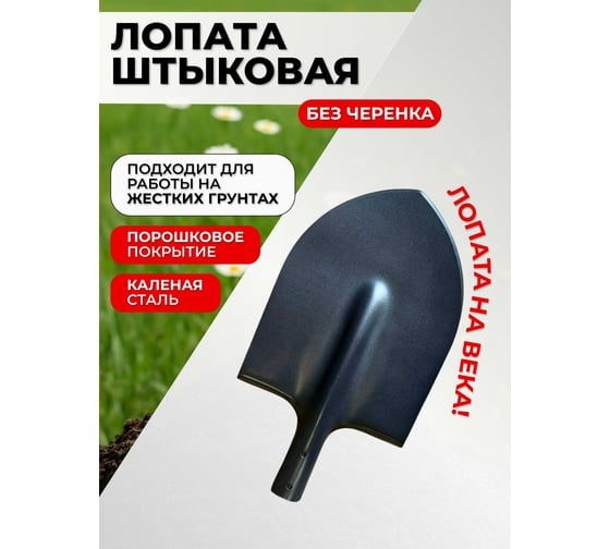 Лопата штыковая остроконечная ООО Агростройлидер Каленка порошковая окраска, без черенка, САД-01.15
