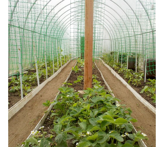 Шпалерная сетка ХозАгро 2х500 м hs-150x130-1,7-500