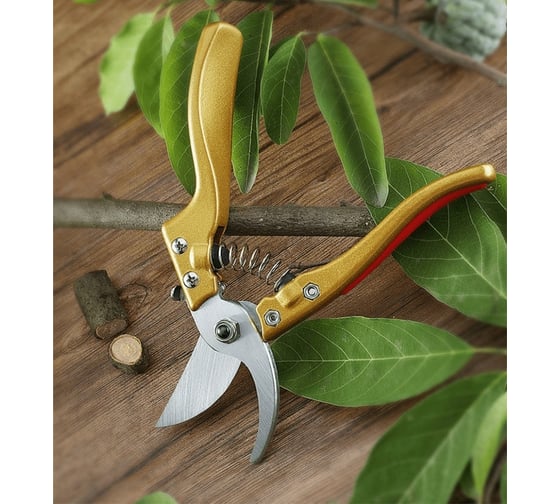 Секатор GOODKING SI-1020