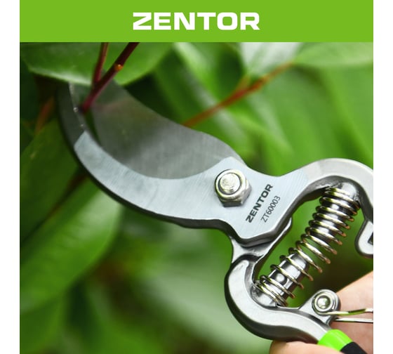 Секатор Zentor 200 мм ZT60003