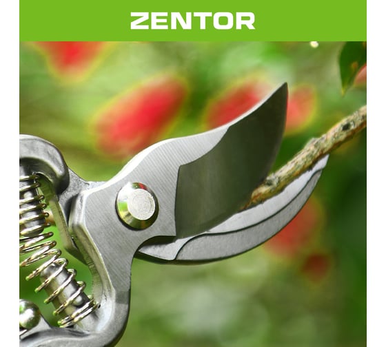 Секатор Zentor 200 мм ZT60003