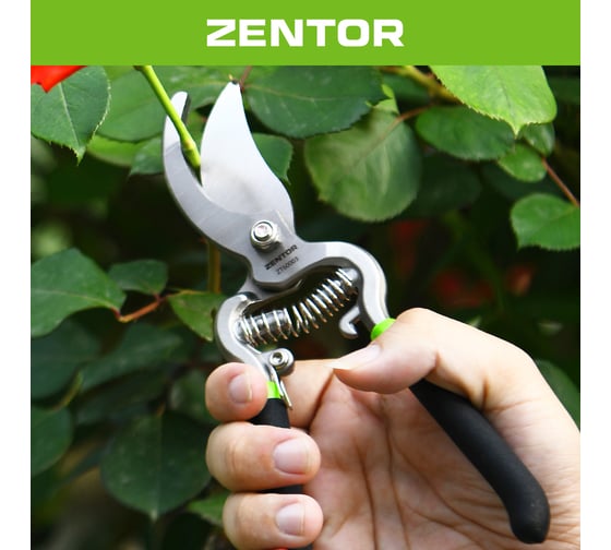 Секатор Zentor 200 мм ZT60003