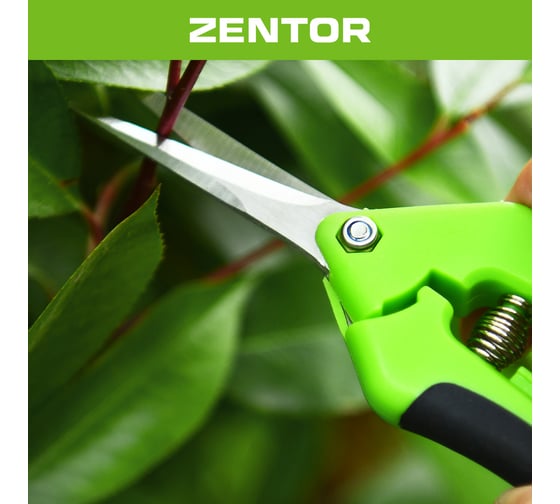 Секатор Zentor 165 мм ZT60002