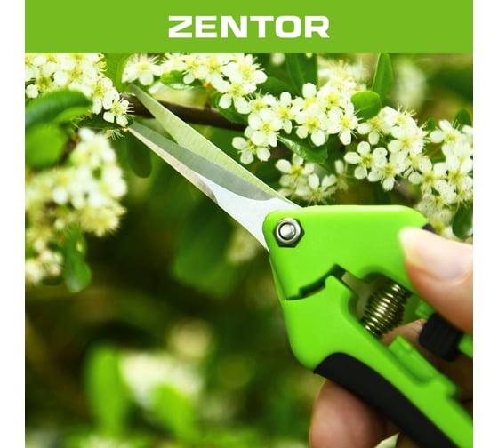 Секатор Zentor 165 мм ZT60002