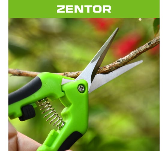 Секатор Zentor 165 мм ZT60002