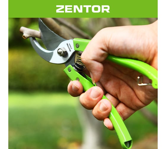 Секатор Zentor 200 мм ZT60004