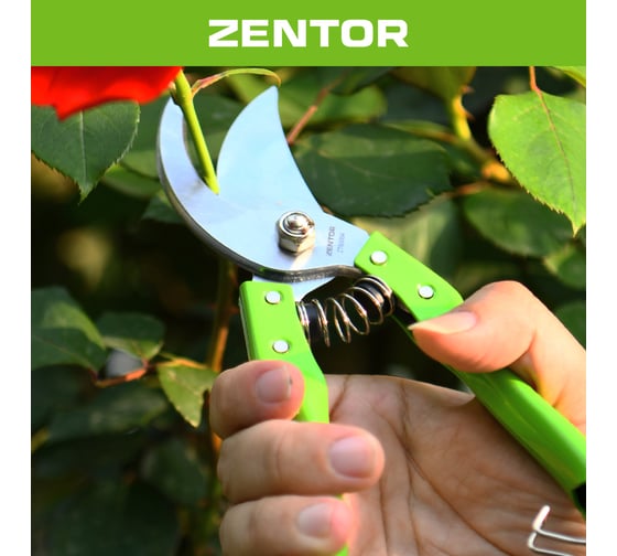 Секатор Zentor 200 мм ZT60004