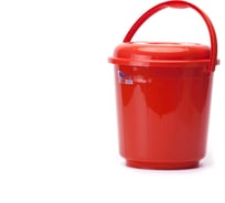 Ведро ООО "ТД "ДИМПЛАСТ" 3 л с крышкой цвет микс 3 шт 4680303580018