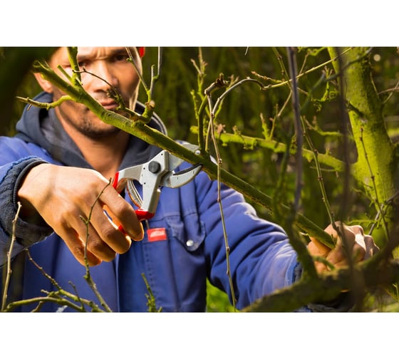 Одноручный секатор с наковальней FELCO F31