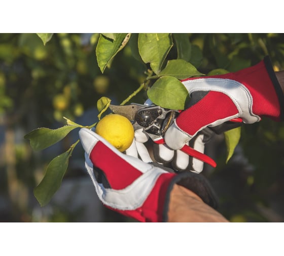 Одноручный секатор FELCO F14