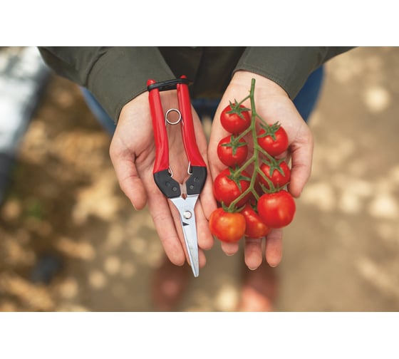 Садовые ножницы FELCO F322