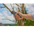 Секатор PremiumCut Pro Dry Wood Gardena 12250-20.000.00 8