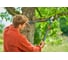 Сучкорез Gardena TeleCut Pro L 12041-20.000.00 7