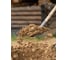 Лопата совковая PALISAD LUXE 225x295, углубленная, рессорная сталь, 0.9 кг, без черенка 61328 2