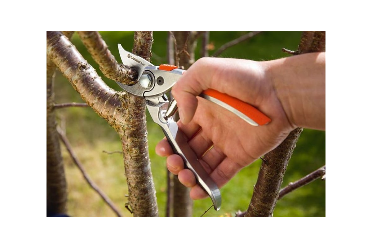 Секатор Gardena BP 30 Premium 08701-20.000.00 - выгодная цена, отзывы ...