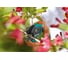 Секатор Gardena Comfort 08785-20.000.00 4