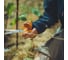 Универсальные ножницы садовые Fiskars 21 см Classic 1075033 ЦЗ-0925907840 11