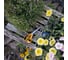 Универсальные ножницы садовые Fiskars 21 см Classic 1075033 ЦЗ-0925907840 12